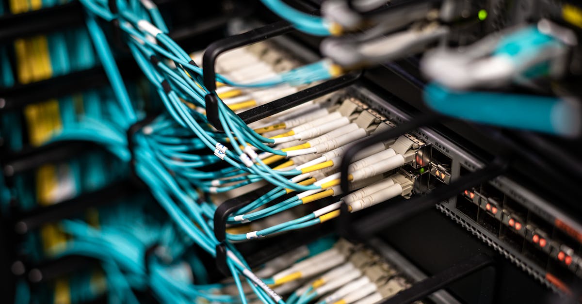 Perspectives et leçons pour le trading automatisé