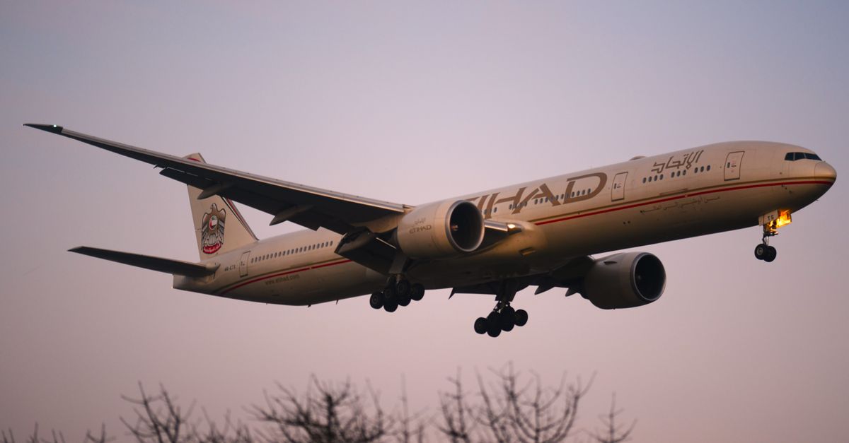 Carburant aérien : le PDG d'Etihad voit la lumière au bout du tunnel