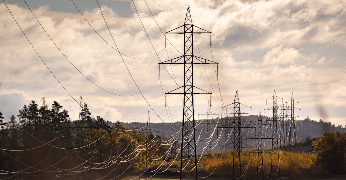 Dominion Energy : Un Actif Stratégique pour NextEra