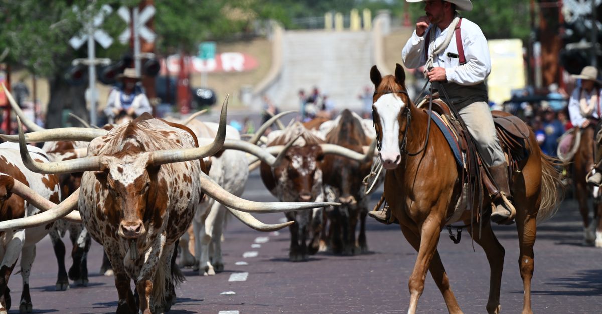 Parasite au Texas : Menace sur le Bœuf US et le Marché Forex