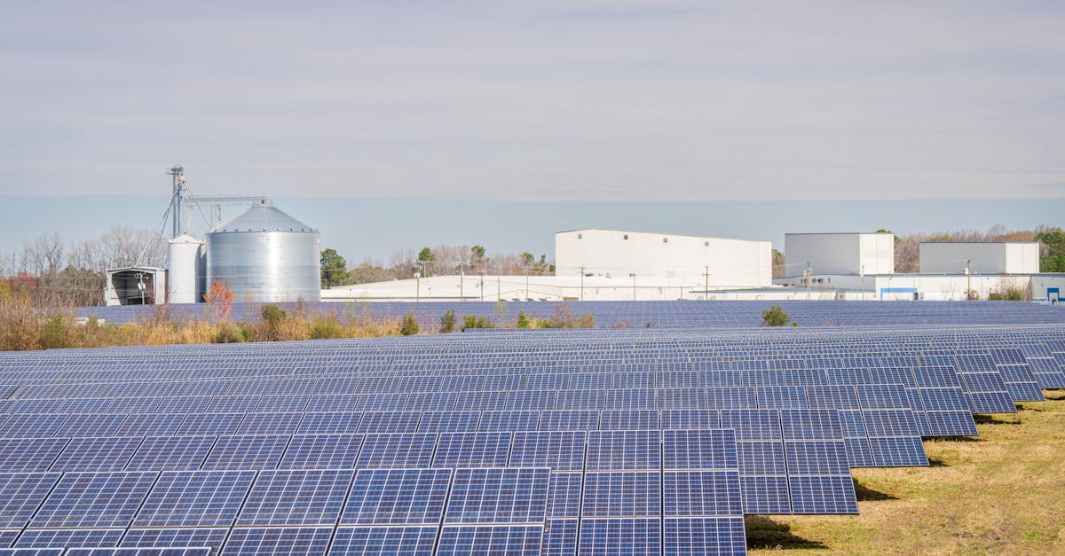 Comment l'IA Anticipe les Mouvements Liés aux Énergies Vertes