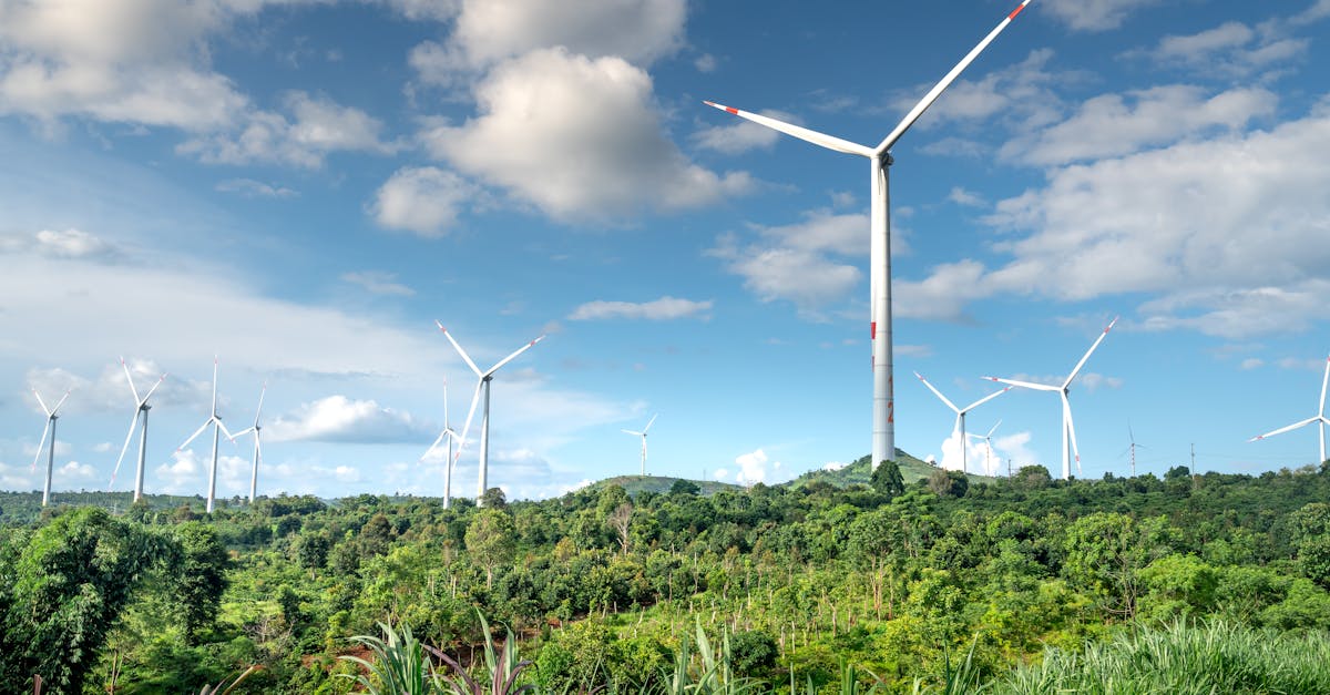 TotalEnergies: Un Virage Vert Stratégique pour l'Investissement