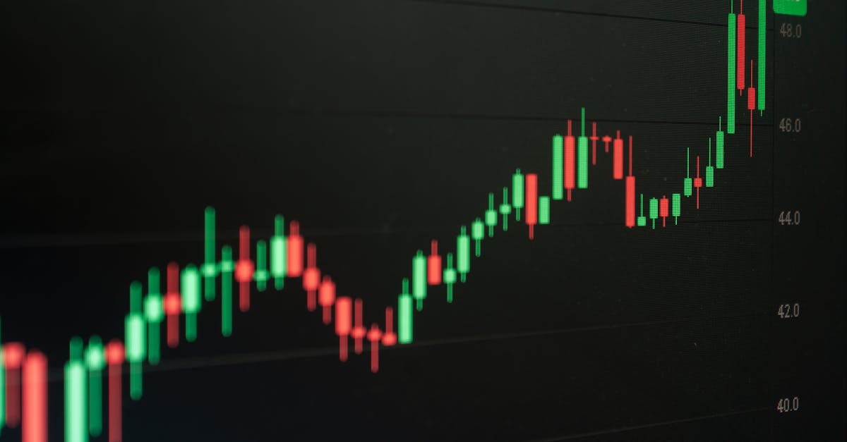 Marchés Actions Euro : Résilience face aux IPOs Américaines